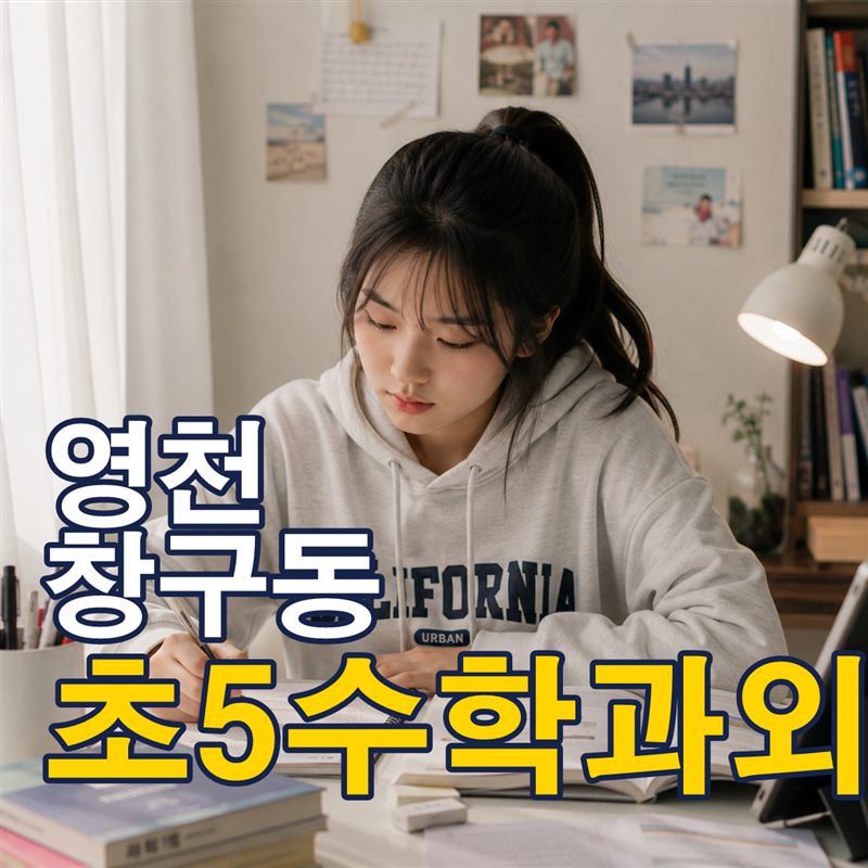 영천 창구동 초5수학과외