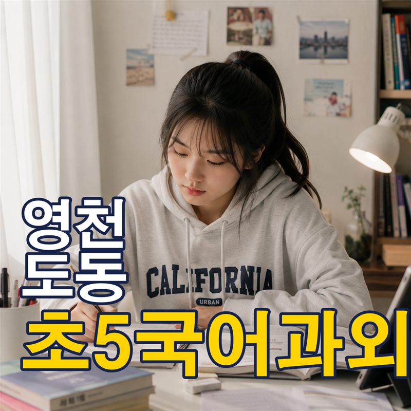 영천 도동 초5국어과외
