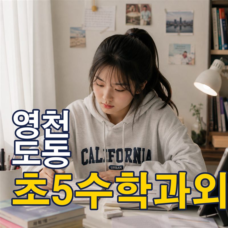 영천 도동 초5수학과외