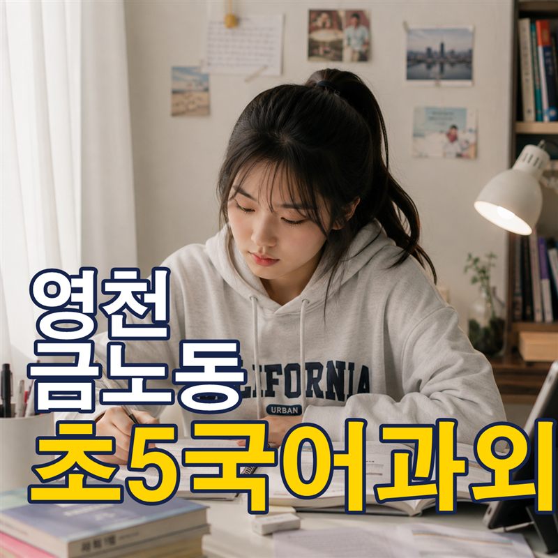영천 금노동 초5국어과외