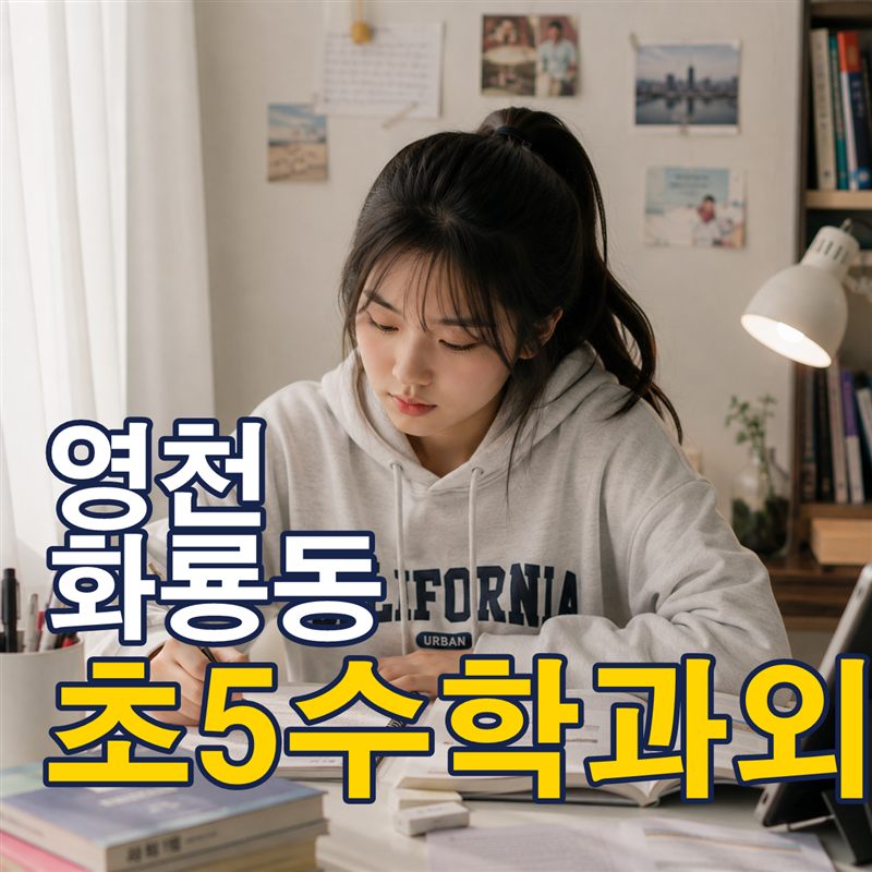 영천 화룡동 초5수학과외