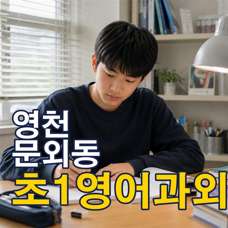 영천 문외동 초1영어과외