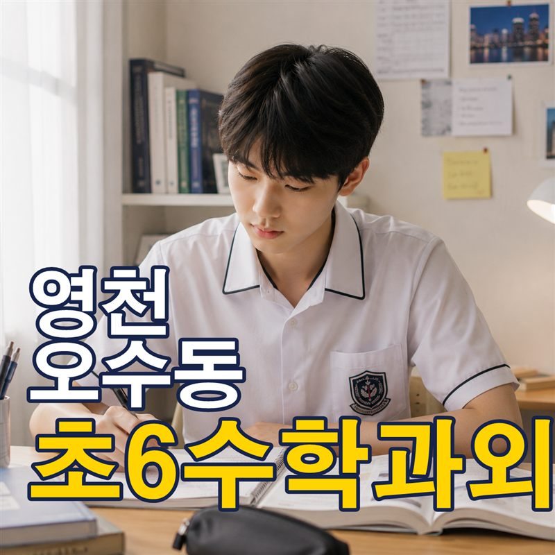 영천 오수동 초6수학과외