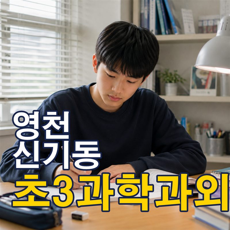 영천 신기동 초3과학과외